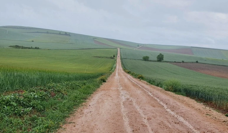 SE-7b77a47e-e005-4f5a-81e7-1787dacdaba5.jpg?type=w773