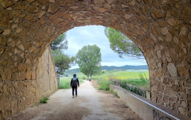 1683731088255.jpg?type=w773