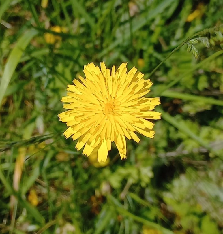 SE-0f2959ec-fc5d-40f3-b755-45a84ff19805.jpg?type=w773