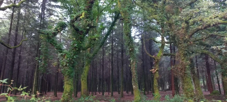 20230608_081309.jpg?type=w773