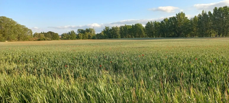 20230518_084048.jpg?type=w773