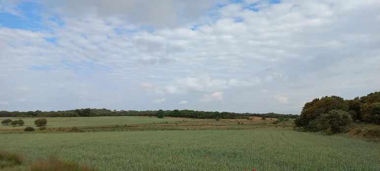 20230527_104511.jpg?type=w773