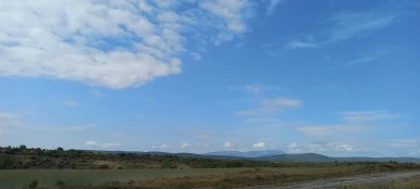 20230528_104812.jpg?type=w386