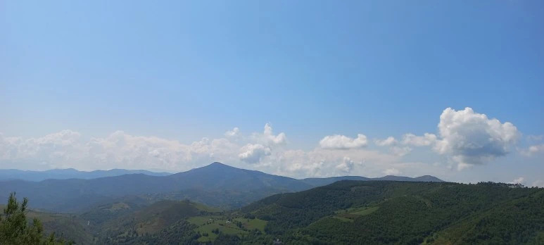 20230601_123310.jpg?type=w773