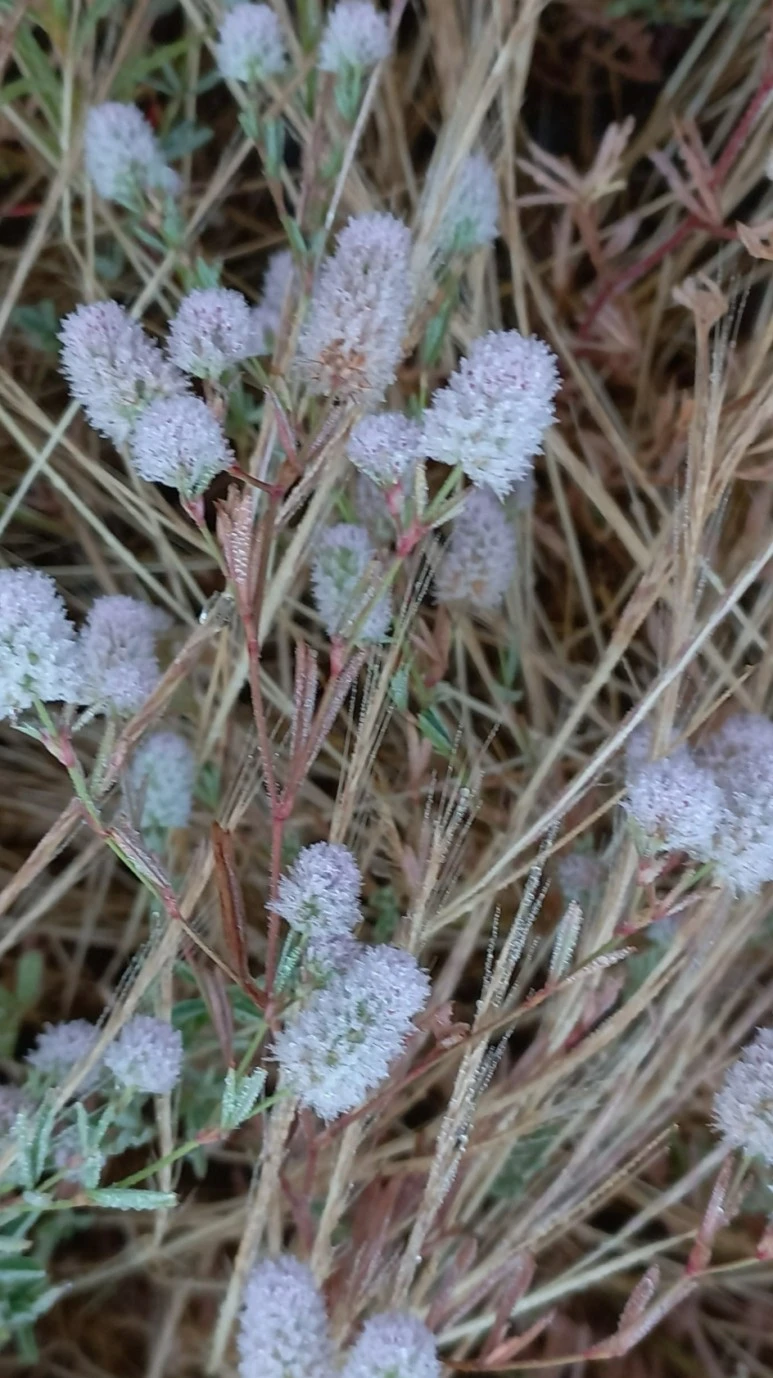 SE-b290986f-4d48-41a3-a490-ebd98e2fcd41.jpg?type=w773