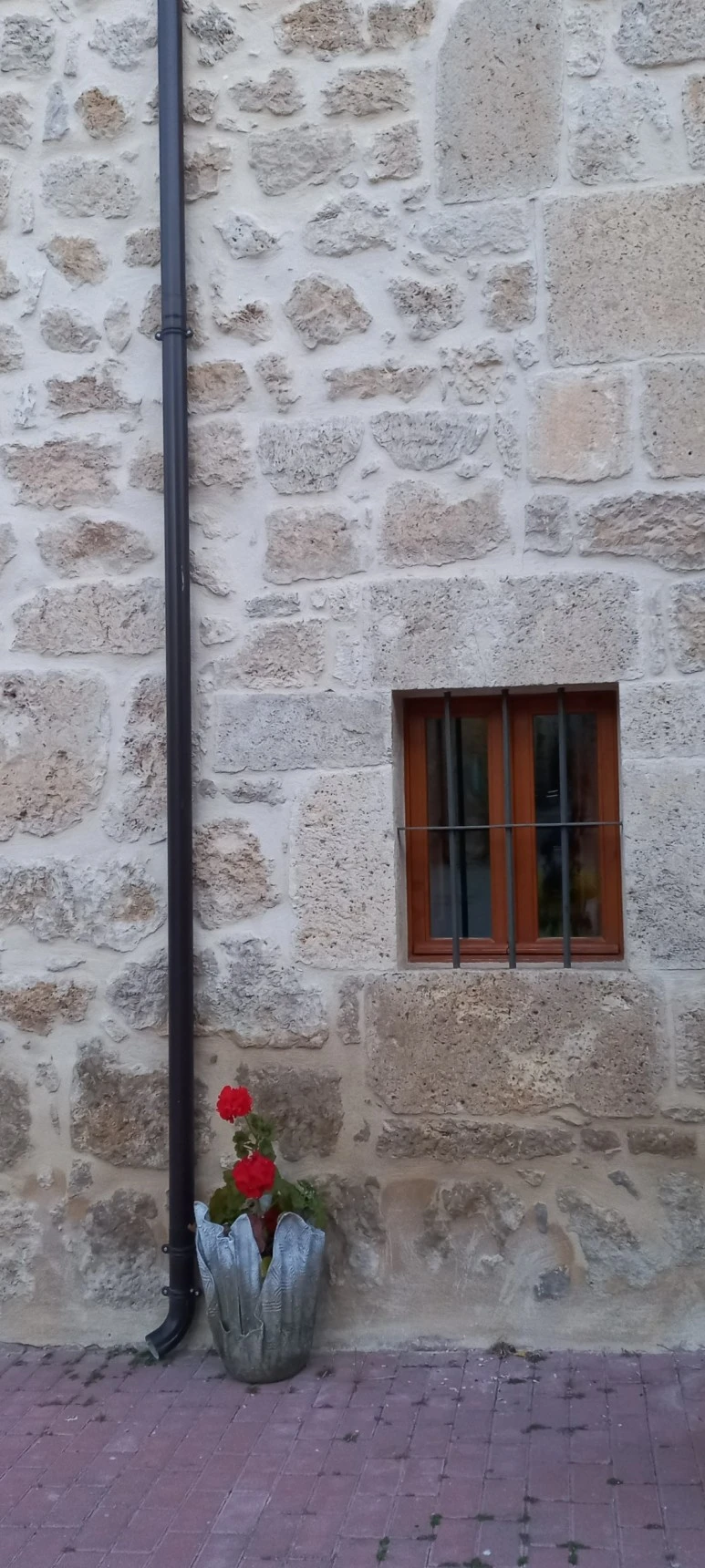 SE-15c111ea-27f2-41ee-a230-493484cef3a5.jpg?type=w773