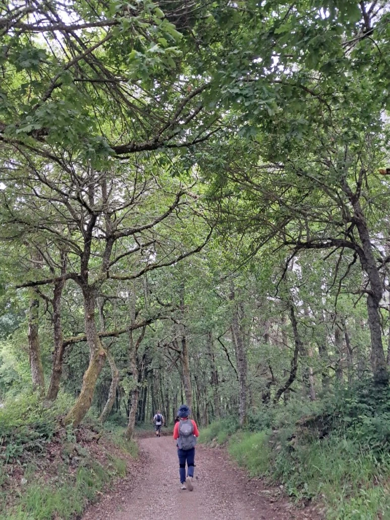 1685806738122.jpg?type=w773