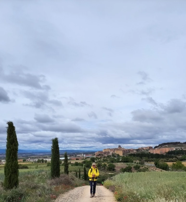 1683911177187.jpg?type=w773