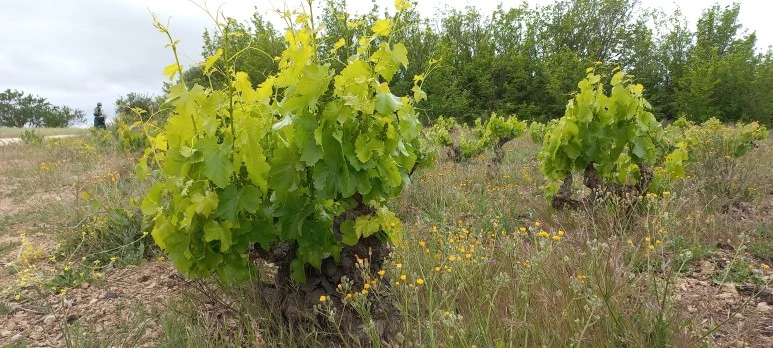 20230512_095402.jpg?type=w773