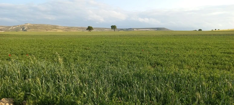 20230519_083121.jpg?type=w773