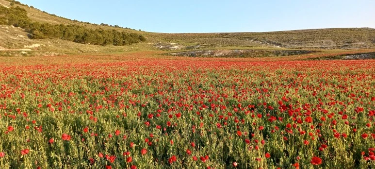 20230519_075421.jpg?type=w773