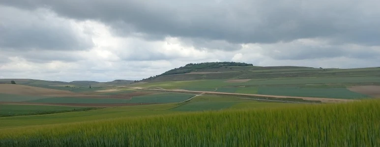 20230515_123113.jpg?type=w773