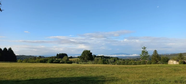 20230608_085153.jpg?type=w773