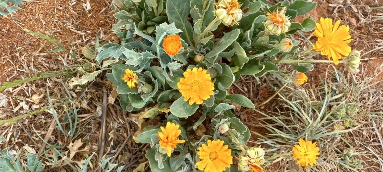 20230527_114728.jpg?type=w773