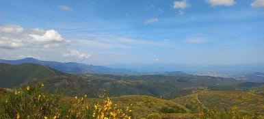 20230529_115010.jpg?type=w386