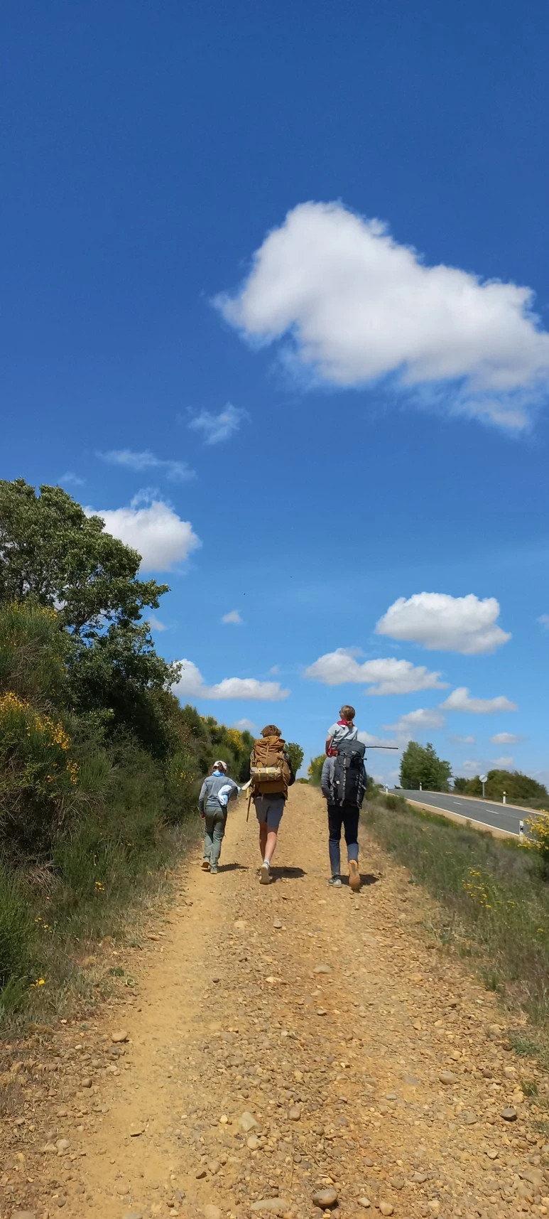 20230521_124508.jpg?type=w773