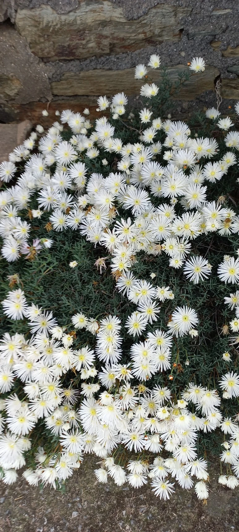 20230602_131255.jpg?type=w773