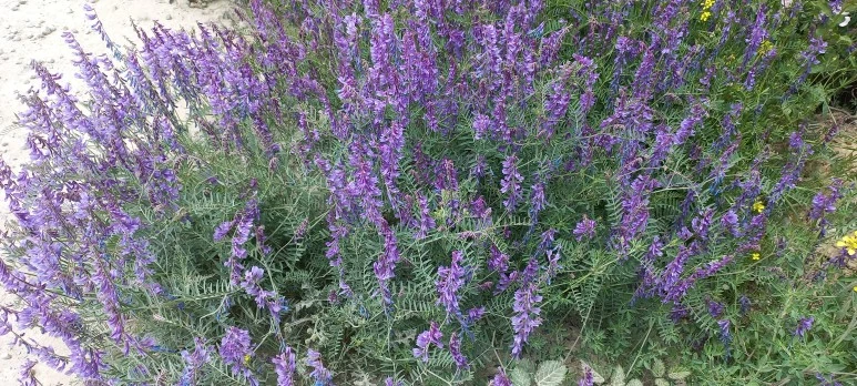 20230519_140502.jpg?type=w773