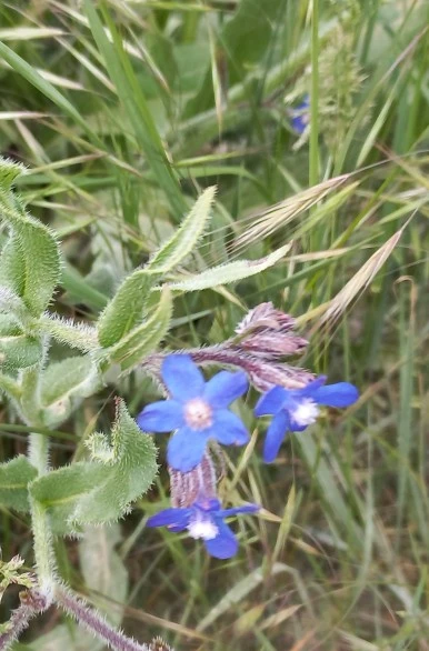 20230519_140527.jpg?type=w386