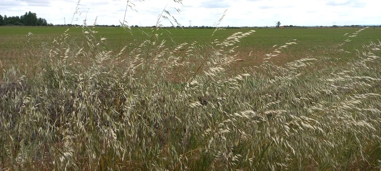 20230526_142126.jpg?type=w773