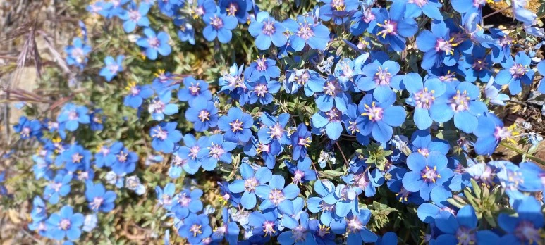 20230521_124128.jpg?type=w773