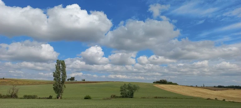 20230520_114558.jpg?type=w773