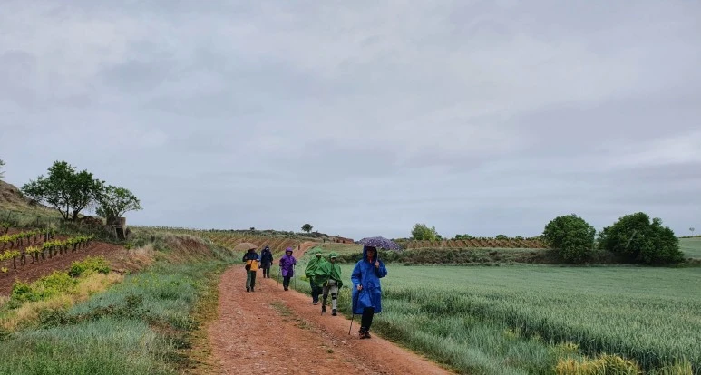 SE-8250f388-ce6b-4843-887d-e408e02b3c1e.jpg?type=w773