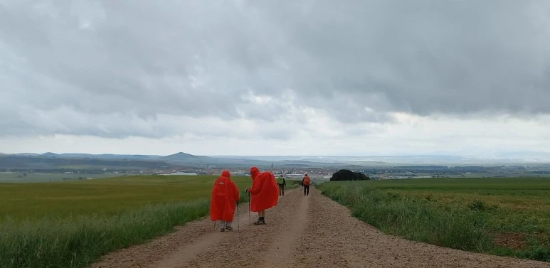 SE-98dec0ae-aac3-43d8-ae88-2e705d0391f5.jpg?type=w773