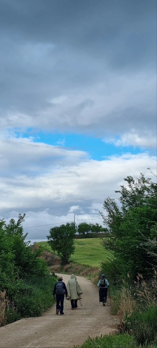 1683950219279.jpg?type=w773