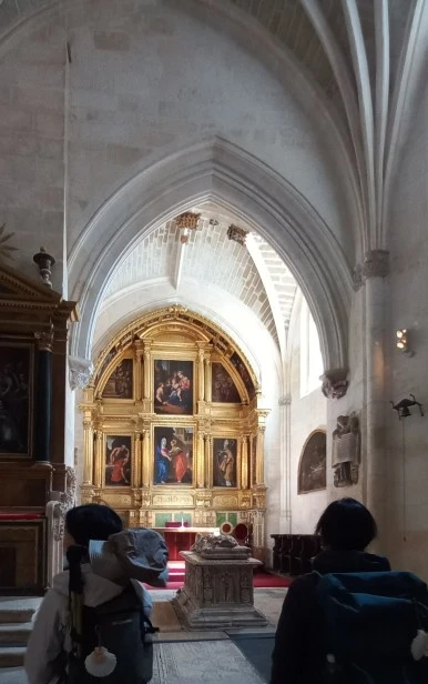 SE-89359ca5-0d0e-4205-a0e0-6fc8c69bdb69.jpg?type=w386