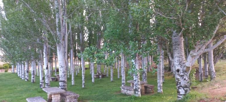 20230520_080044.jpg?type=w773