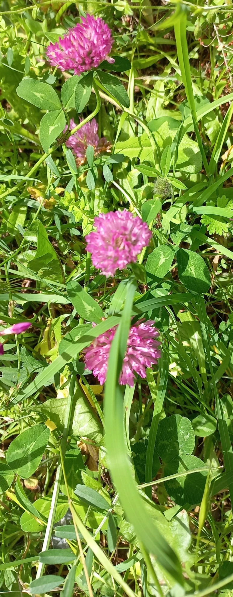 SE-d38028df-2538-4543-b313-76c7063daf7d.jpg?type=w773