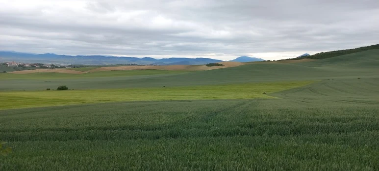 20230509_102809.jpg?type=w773