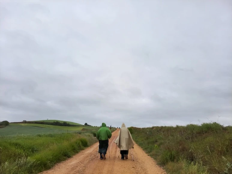 1684082886402.jpg?type=w773