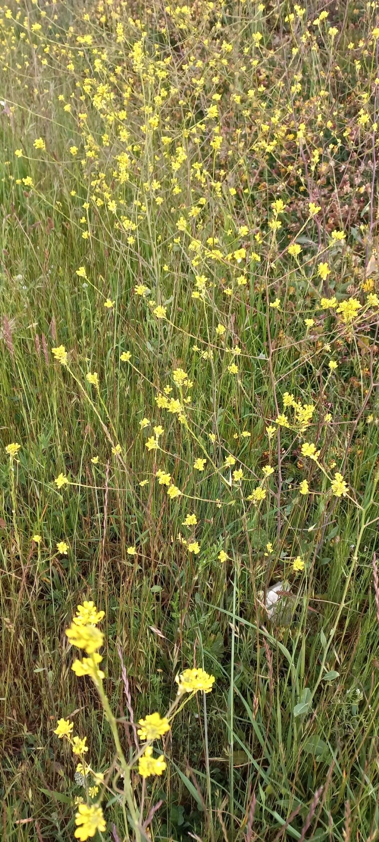 20230602_083611.jpg?type=w773