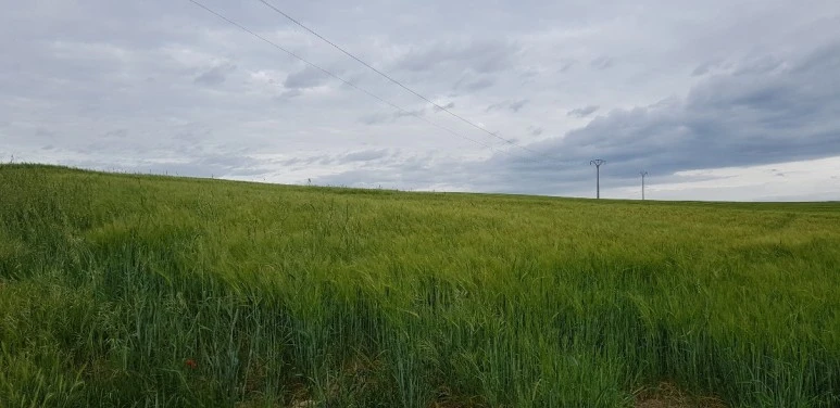 1683650304929.jpg?type=w773