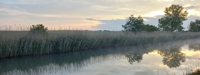 20230520_072031.jpg?type=w773