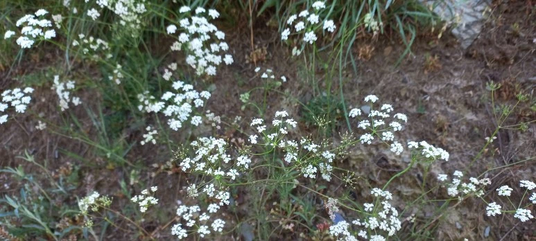 20230601_100549.jpg?type=w773