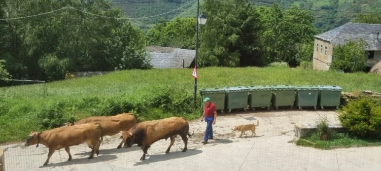 SE-42bf67ad-00b0-46d2-add1-18cd51ff7f9b.jpg?type=w773