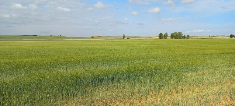 20230520_103432.jpg?type=w773