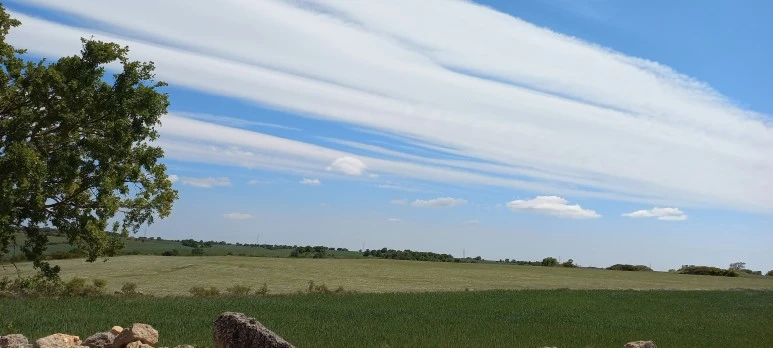 20230518_153947.jpg?type=w773