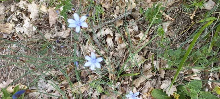 20230507_113322.jpg?type=w773