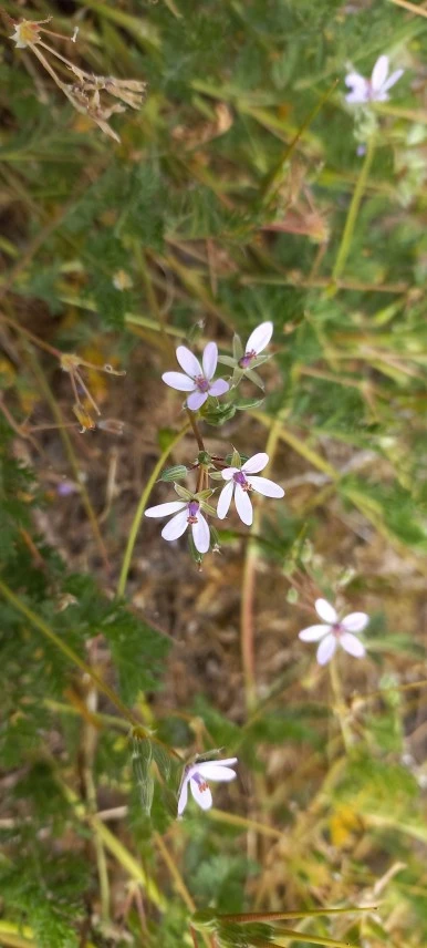 20230520_115245.jpg?type=w386