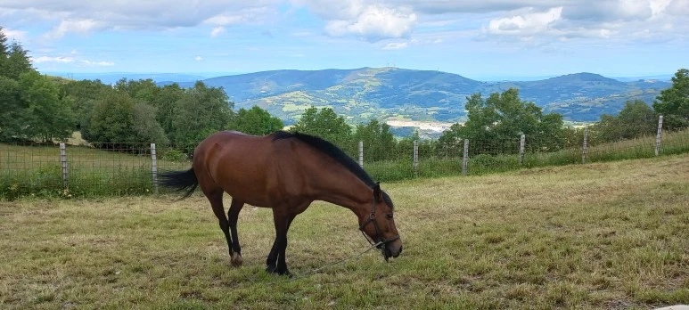 20230602_120000.jpg?type=w773