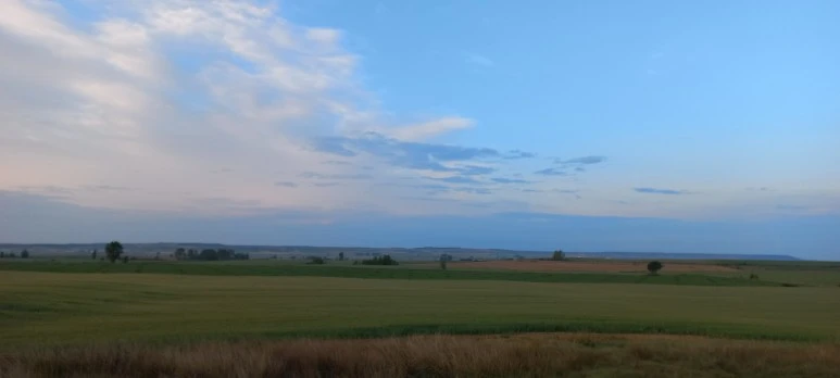 20230520_071949.jpg?type=w773