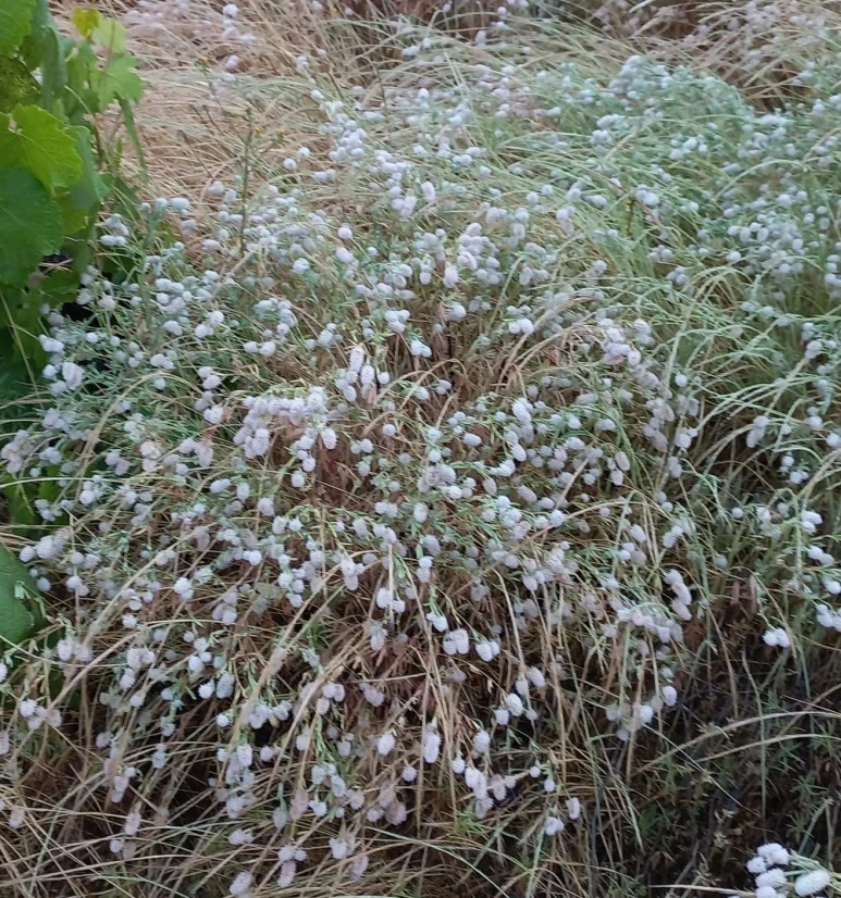 SE-be622e0d-7c20-4a5a-b3d3-58345521791b.jpg?type=w773