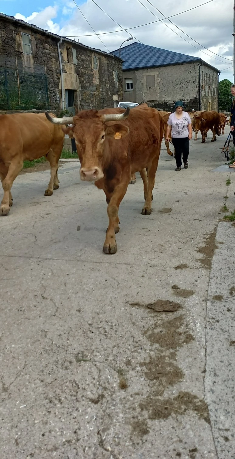 SE-1c1ea3ad-079d-4509-82f9-ca4222d37393.jpg?type=w773