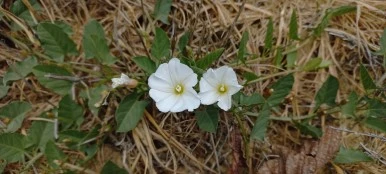 20230520_115625.jpg?type=w386