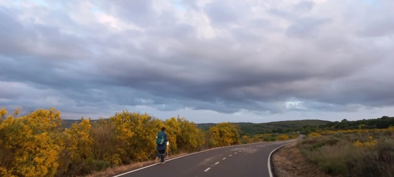 20230529_065855.jpg?type=w773