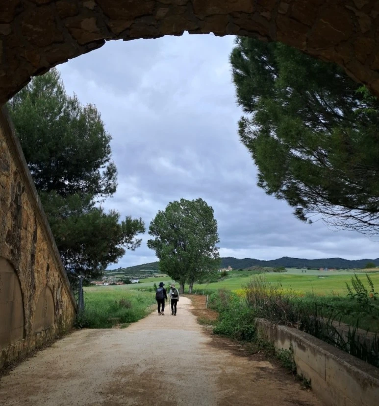 1683731026200.jpg?type=w773